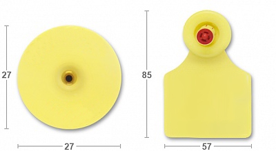 Ушная бирка FLEXO tronic D30 R/D
