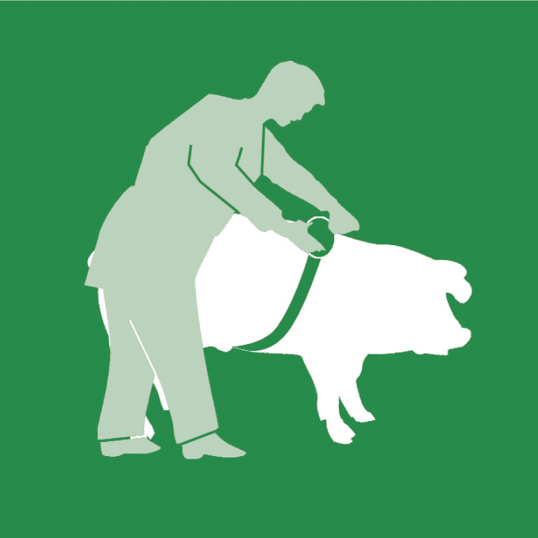 Измерительная лента для коров Animeter